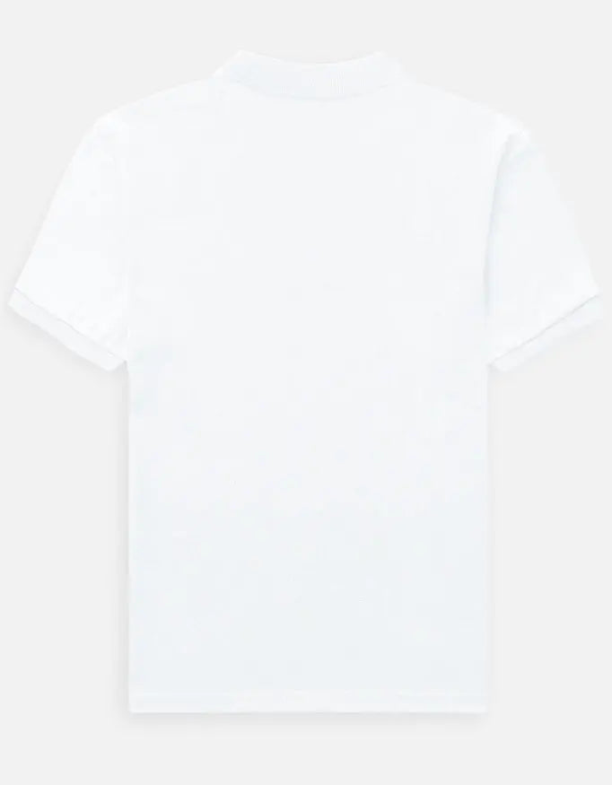 Back_3_c_1.jpg